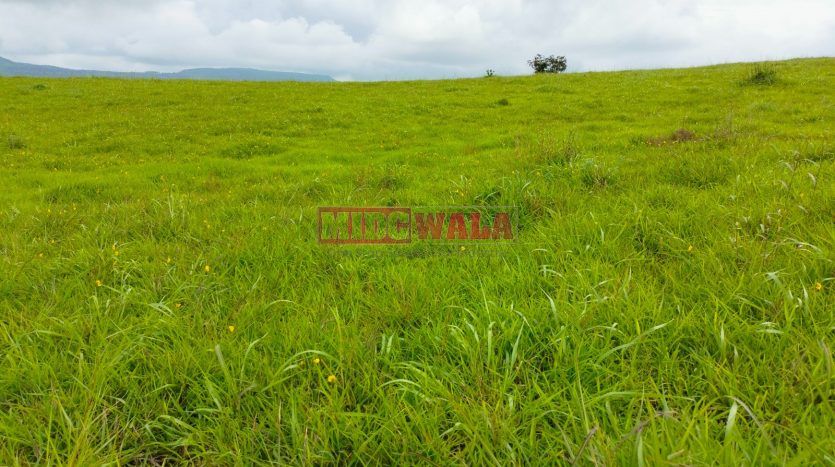 Industrial land at chemical zone for sale additional mahad MIDC; 40000 SQMTR