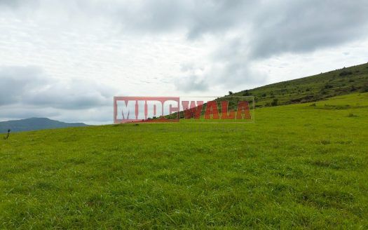 Industrial land at chemical zone for sale additional mahad MIDC; 40000 SQMTR